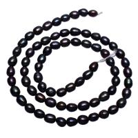 Rice ferskvandskulturperle Beads, Ferskvandsperle, Ris, sort, 4-5mm, Hole:Ca. 0.8mm, Solgt Per Ca. 15.7 inch Strand