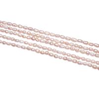 Perles nacres baroques de culture d'eau douce , perle d'eau douce cultivée, pepite, naturel, rose, 3-4mm, Trou:Environ 0.8mm, Vendu par Environ 15 pouce brin