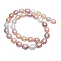 Krumpir Kulturan Slatkovodni Pearl perle, prirodan, miješana boja, 12-16mm, Rupa:Približno 0.8mm, Prodano Per Približno 16 inčni Strand