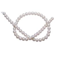 Grânulos pérolas cultivads de água doce, Pérolas de água doce, Batata, naturais, branco, 8-9mm, Buraco:Aprox 0.8mm, vendido para Aprox 15.5 inchaltura Strand