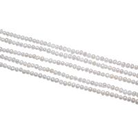 Brambor pěstované sladkovodní perle, Sladkovodní Pearl, přírodní, bílý, 2-3mm, Otvor:Cca 0.8mm, Prodáno za Cca 15 inch Strand