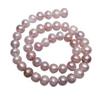 Grânulos pérolas cultivads de água doce, Pérolas de água doce, Batata, naturais, roxo, 10-11mm, Buraco:Aprox 0.8mm, vendido para Aprox 15.7 inchaltura Strand