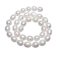 Perles nacres pommes de terre de culture d'eau douce, perle d'eau douce cultivée, pomme de terre, naturel, blanc, 10-11mm, Trou:Environ 0.8mm, Vendu par Environ 15.5 pouce brin