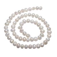 Krumpir Kulturan Slatkovodni Pearl perle, prirodan, bijel, 5-6mm, Rupa:Približno 0.8mm, Prodano Per Približno 14.5 inčni Strand