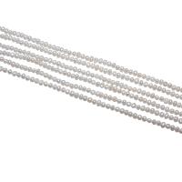 Grânulos pérolas cultivads de água doce, Pérolas de água doce, Batata, naturais, branco, 2.5-3mm, Buraco:Aprox 0.8mm, vendido para Aprox 15 inchaltura Strand