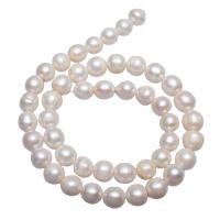 Prátaí Saothraithe coirníní Péarla Fionnuisce, Pearl Fionnuisce, nádúrtha, bán, 9-10mm, Poll:Thart 0.8mm, Díolta Per Thart 15.7 Inse Snáithe