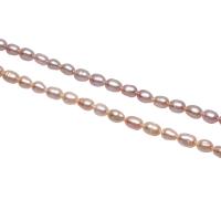 Rice Kulturan Slatkovodni Pearl perle, Riža, prirodan, više boja za izbor, 3-4mm, Rupa:Približno 0.8mm, Prodano Per Približno 15.3 inčni Strand