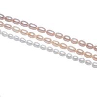 Rice Kulturan Slatkovodni Pearl perle, Riža, prirodan, više boja za izbor, 5-6mm, Rupa:Približno 0.8mm, Prodano Per Približno 15 inčni Strand