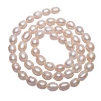 Rice Kulturan Slatkovodni Pearl perle, Riža, prirodan, roze, 6-7mm, Prodano Per Približno 15 inčni Strand