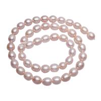 Krumpir Kulturan Slatkovodni Pearl perle, prirodan, roze, 7-8mm, Prodano Per Približno 15.3 inčni Strand