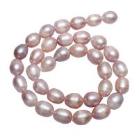 Potatis odlad sötvattenspärla pärlor, Freshwater Pearl, naturlig, purpur, 9-10mm, Såld Per Ca 14.7 inch Strand