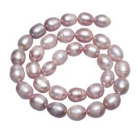 Aardappel Gekweekte Zoetwater Parel kralen, natuurlijk, purper, 10-11mm, Per verkocht Ca 15.7 inch Strand