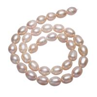 Brambor pěstované sladkovodní perle, Sladkovodní Pearl, přírodní, růžový, 9-10mm, Otvor:Cca 0.8mm, Prodáno za Cca 15 inch Strand