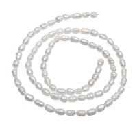 Perles nacres baroques de culture d'eau douce , perle d'eau douce cultivée, pepite, naturel, blanc, 3-4mm, Trou:Environ 0.8mm, Vendu par Environ 15 pouce brin