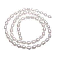 Rice Kulturan Slatkovodni Pearl perle, Riža, prirodan, roze, 4-5mm, Rupa:Približno 0.8mm, Prodano Per Približno 15 inčni Strand