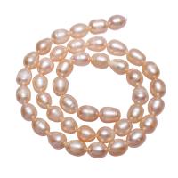 Ris odlad sötvattenspärla pärlor, Freshwater Pearl, naturlig, rosa, 7-8mm, Hål:Ca 0.8mm, Såld Per Ca 15.5 inch Strand