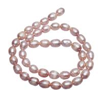 Ris odlad sötvattenspärla pärlor, Freshwater Pearl, naturlig, rosa, 7-8mm, Hål:Ca 0.8mm, Såld Per Ca 15.5 inch Strand