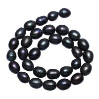 Perles nacres pommes de terre de culture d'eau douce, perle d'eau douce cultivée, pomme de terre, noire, 10-11mm, Trou:Environ 1mm, Vendu par Environ 15.5 pouce brin