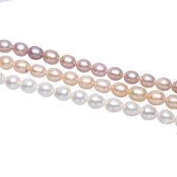 Cultured Potato Freshwater Pearl Beads natural 8-9mm Approx 0.8mm Sold Per Approx 15 Inch Strand