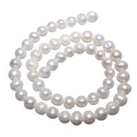 Kartoffel ferskvandskulturperle Beads, Ferskvandsperle, naturlig, hvid, 7-8mm, Hole:Ca. 0.8mm, Solgt Per Ca. 14.7 inch Strand