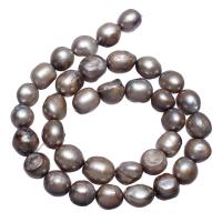 Krumpir Kulturan Slatkovodni Pearl perle, siv, 10-11mm, Rupa:Približno 0.8mm, Prodano Per Približno 15 inčni Strand