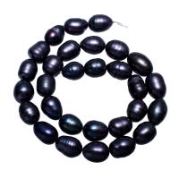 Krumpir Kulturan Slatkovodni Pearl perle, tamno ljubičasta, 10-11mm, Rupa:Približno 0.8mm, Prodano Per Približno 14.7 inčni Strand