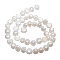 Krumpir Kulturan Slatkovodni Pearl perle, prirodan, bijel, 8-9mm, Rupa:Približno 0.8mm, Prodano Per Približno 14.5 inčni Strand