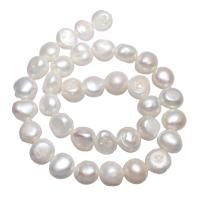 Perles nacres pommes de terre de culture d'eau douce, perle d'eau douce cultivée, pomme de terre, naturel, blanc, 11-12mm, Trou:Environ 0.8mm, Vendu par Environ 15 pouce brin