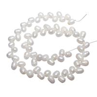 Brambor pěstované sladkovodní perle, Sladkovodní Pearl, přírodní, bílý, 7-8mm, Otvor:Cca 0.8mm, Prodáno za Cca 15 inch Strand