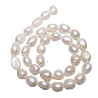 Krumpir Kulturan Slatkovodni Pearl perle, prirodan, bijel, 10-11mm, Rupa:Približno 0.8mm, Prodano Per Približno 14.5 inčni Strand