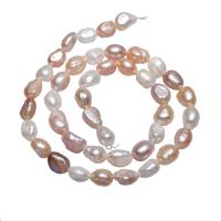 Krumpir Kulturan Slatkovodni Pearl perle, prirodan, miješana boja, 7-8mm, Rupa:Približno 0.8mm, Prodano Per Približno 15.5 inčni Strand