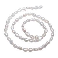 Ris odlad sötvattenspärla pärlor, Freshwater Pearl, naturlig, vit, 4-5mm, Hål:Ca 0.8mm, Såld Per Ca 14.5 inch Strand