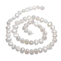 Brambor pěstované sladkovodní perle, Sladkovodní Pearl, přírodní, bílý, 7-8mm, Otvor:Cca 0.8mm, Prodáno za Cca 15 inch Strand