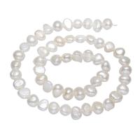 Perlas Patata Freshwater, Perlas cultivadas de agua dulce, natural, Blanco, 7-8mm, agujero:aproximado 0.8mm, Vendido para aproximado 14 Inch Sarta