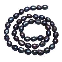 Kartoffel ferskvandskulturperle Beads, Ferskvandsperle, sort, 7-8mm, Hole:Ca. 0.8mm, Solgt Per Ca. 15 inch Strand