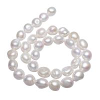 Barokní kultivované sladkovodní perle, Sladkovodní Pearl, Nuggets, přírodní, bílý, 10-11mm, Prodáno za Cca 15.7 inch Strand