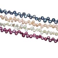 Barock odlad sötvattenspärla pärlor, Freshwater Pearl, Nuggets, blandade färger, 5-6mm, Såld Per Ca 14.5 inch Strand