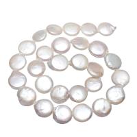 Perlas Moneda Freshwater, Perlas cultivadas de agua dulce, Redondo aplanado, natural, Blanco, 13-14mm, agujero:aproximado 0.8mm, Vendido para aproximado 14.5 Inch Sarta