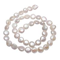 Moneta coltivate in acqua dolce Perla, perla d'acquadolce coltivata naturalmente, Cerchio piatto, naturale, bianco, 8-9mm, Foro:Appross. 0.8mm, Venduto per Appross. 15.3 pollice filo