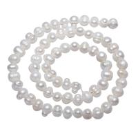 Grânulos pérolas cultivads de água doce, Pérolas de água doce, Batata, naturais, branco, 7-8mm, Buraco:Aprox 0.8mm, vendido para Aprox 15.5 inchaltura Strand