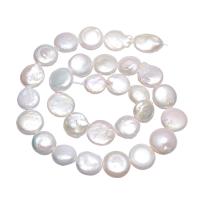 Perlas Moneda Freshwater, Perlas cultivadas de agua dulce, Redondo aplanado, natural, Blanco, 12-13mm, agujero:aproximado 0.8mm, 26PCs/Sarta, Vendido para aproximado 15.7 Inch Sarta