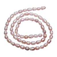 Krumpir Kulturan Slatkovodni Pearl perle, s troll, ljubičasta boja, 4mm, Rupa:Približno 0.8mm, 60računala/Strand, Prodano Per Približno 15.7 inčni Strand