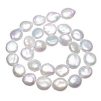 Coin Gekweekte Zoetwater Parel kralen, Rond plat, natuurlijk, wit, 12-13mm, Gat:Ca 0.8mm, Per verkocht Ca 15 inch Strand