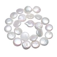 Mince kultivované sladkovodní perle, Sladkovodní Pearl, Flat Round, přírodní, bílý, 14-15mm, Otvor:Cca 0.8mm, Prodáno za Cca 15 inch Strand