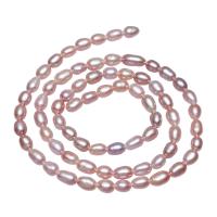 Rice ferskvandskulturperle Beads, Ferskvandsperle, Ris, naturlig, lilla, 3-4mm, Hole:Ca. 0.8mm, Solgt Per Ca. 15.5 inch Strand