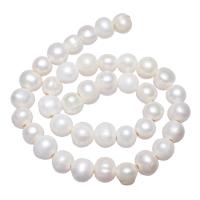 Perlas Patata Freshwater, Perlas cultivadas de agua dulce, natural, Blanco, 11-12mm, agujero:aproximado 2.5mm, Vendido para 14.3 Inch Sarta