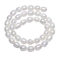 Kartoffel ferskvandskulturperle Beads, Ferskvandsperle, naturlig, hvid, 8-9mm, Hole:Ca. 1.5mm, Solgt Per 14.5 inch Strand