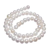 Grânulos pérolas cultivads de água doce, Pérolas de água doce, Batata, naturais, branco, 8-9mm, Buraco:Aprox 2mm, vendido para 15 inchaltura Strand