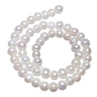 Grânulos pérolas cultivads de água doce, Pérolas de água doce, Batata, naturais, branco, 8-9mm, Buraco:Aprox 2mm, vendido para 15 inchaltura Strand