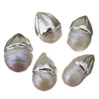 Perla Barroca Freshwater, Perlas cultivadas de agua dulce, chapado en color de plata, enviado al azar, 12-16x20-23x12-16mm, agujero:aproximado 0.5mm, 10PCs/Grupo, Vendido por Grupo